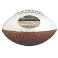 Full Size Synthetic Leather Signature Football